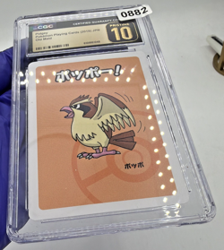 CGC 10 Pristine Pidgey Old Maid 2019 - Pokemon - SHIPS FAST 003 - Image 4