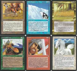 COMPLETE Set of MTG M:tG FRENCH ICE AGE Dameon Willich - SIGNED ARTIST PROOF S! - Image 1