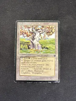 Pendelhaven Legends Mtg HP - Image 1