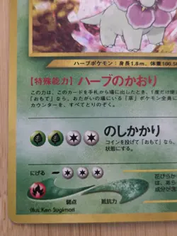 Meganium No. 154 Holo Neo Premium File Promo - Japanese Pokemon Card - 2000 - Image 4