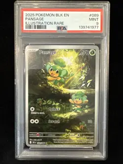 2025 Pokemon Pansage PSA 9 #089 Illustration Rare Black Bolt - Image 1
