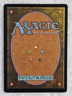 MTG Seedguide Ash - Lorwyn (LRW) #235 Magic the Gathering Card U LP - Image 3