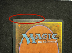 MTG Revised Edition, Taiga! 1994 Vintage Magic! Possible ink dots. - Image 3