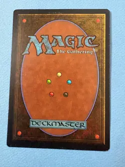 MTG Legends Edition, Hells Caretaker! 1994 Vintage Magic! - Image 2