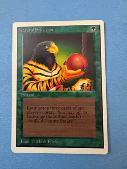 MTG Unlimited Editioon Natural Selection! 1993 Vintage Magic! - Image 1
