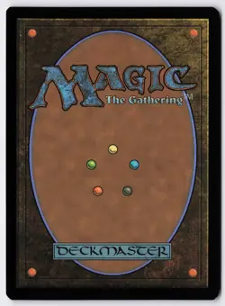 Questing Druid - Foil - Borderless - MTG Secret Lair Showdown - RareCo - Image 2