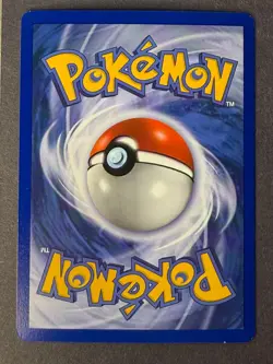 Cyndaquil Expedition Sandstorm Pokemon TCG 59/100 Reverse Holo - Image 2