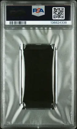 2016 POKEMON HANAFUDA MARIO PIKACHU SEPTEMBER FENNEKIN PSA 10 - Image 2
