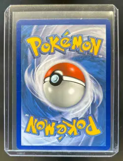 2019 Pokemon SM Black Star Promos Pikachu & Zekrom Tag Team #SM168 - Image 2