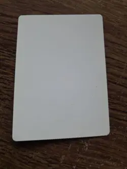 Wall Of Tombstones Artist Proof SIGNED By Dan Frazier Magic the Gathering - Image 2