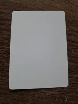 Triassic Egg Artist Proof SIGNED By Dan Frazier Magic the Gathering - Image 2