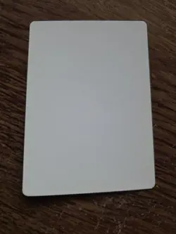 Quagmire Artist Proof SIGNED By Dan Frazier Magic the Gathering - Image 2