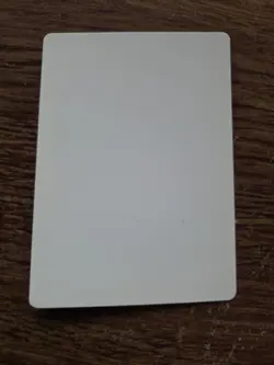 Osai Vultures Artist Proof SIGNED By Dan Frazier Magic the Gathering - Image 2