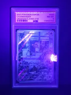 2023 POKEMON SVP EN-SV OBSIDIAN FLAMES ETB PROMO #044 CHARMANDER PSA 8 - Image 3