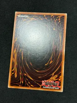 Yugioh Dark Magician FL1-EN002 Secret Rare Limited NM - Image 4