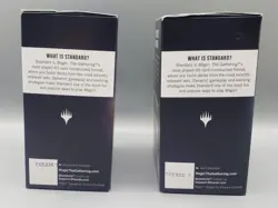 Magic The Gathering Angels+Pirates 60-Card Theme Deck Lot of 2 - Image 4