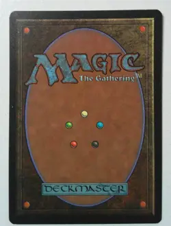 Sunastian Falconer *Uncommon* Magic MtG x1 Legends MP - Image 2