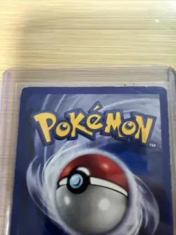 Pokemon Pidgey TCG Base Set Shadowless Common Card 57/102 - Image 3