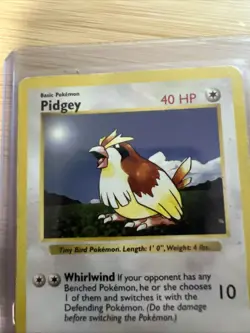 Pokemon Pidgey TCG Base Set Shadowless Common Card 57/102 - Image 5