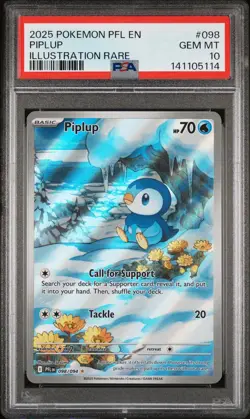 141105114 Piplup 2025 Pokemon Phantasmal Flames #98 Illustration Rare PSA 10 - Image 1