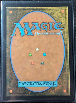 Traveling Chocobo NM (Borderless)(0406) Foil Final Fantasy MTG - Image 2