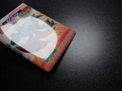 Pokemon Bandai Promo Waterproof Bathroom Menko Card Salamence #6124 PLAY - Image 4