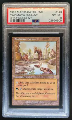1999 Magic: The Gathering Urza's Destiny Yavimaya Hollow #143 PSA 8 - Image 1