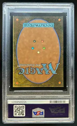 2001 Magic: The Gathering Deckmasters Necropotence Foil #7 PSA 8 - Image 2