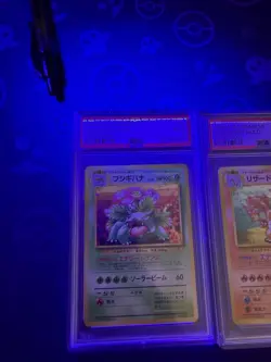 1999 POKEMON JAPANESE CD PROMO CHARIZARD BLASTOISE VENUSAUR SEQUENTIAL PSA 9 TCG - Image 5