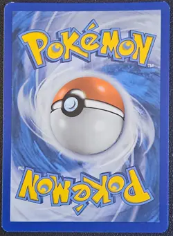 Light Toxtricity SWSH137 SWSH: Sword & Shield Promo Cards Holo NM - Image 2