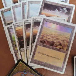 100+ Basic Lands Plains island swamp mountain forest White Bordered OLD HP /used - Image 2