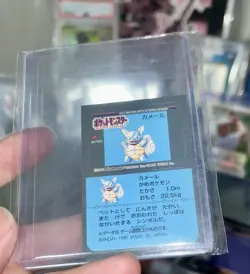 1996 Snack Club Sticker Wartortle Japanese Pokemon Seal Bandai Nintendo Clean - Image 1
