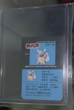 1996 Snack Club Sticker Wartortle Japanese Pokemon Seal Bandai Nintendo Clean - Image 3
