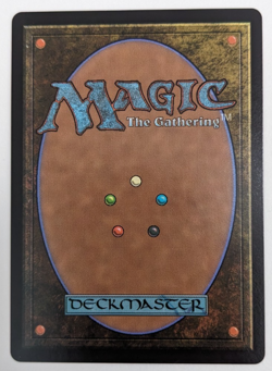 Ancient Adamantoise (0172) Final Fantasy FIN, Magic MtG, Regular - NM! - Image 2