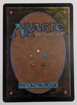 Ishgard, the Holy See (310) Borderless, Final Fantasy FIN, Magic MtG, Reg NM! - Image 2