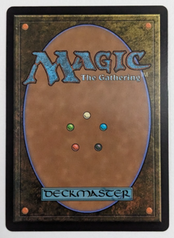 Ishgard, the Holy See (283) Final Fantasy FIN, Magic MtG, Regular - NM! - Image 2