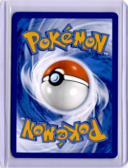 Pokemon Bibarel Ultra Rare Crown Zenith: Galarian Gallery GG25/GG70 NM - LP - Image 2