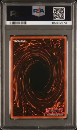 PSA 10 Elemental Hero Aqua Neos Ultra 1st Edition POTD-EN031 Yugioh - Image 2