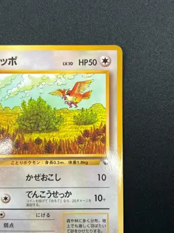[NM] Pidgey Pokemon Card Japanese No.016 Vending Series Vintage Glossy 15F24 - Image 5