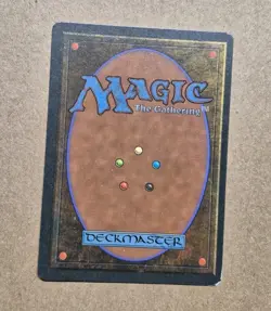 UNPLAYED NM LP Ambush Party SIGNED Mark Poole Homelands MTG MAGIC Ancestral EDH - Image 2