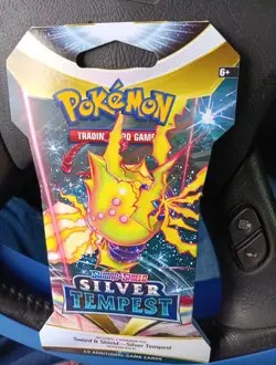 Nintendo Pokemon TCG Silver Tempest Booster Pack - 10 Cards 820650850929 - Image 1