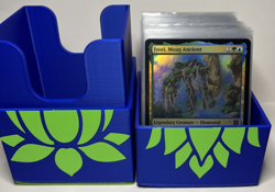 Player Built MTG Commander Deck - 100 Cards- w/Box - Jyoti, Moag Ancient - Foil - Image 3