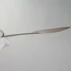 MP) Torchic 004/ADV-P McDonald's Promo 2003 Pokemon card Japanese z179-246 - Image 3