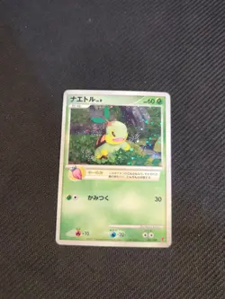 Turtwig 001/PPP Japanese Fan Club Players Promo Pokemon Holo NM - Image 1