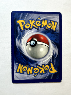 Kangaskhan Holo - 5/64 Jungle - WOTC - Pokemon TCG - LP - Image 2
