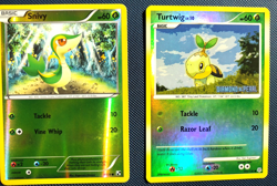 Pokemon TURTWIG 103/130 Stamped Promo CarReverse Holo & Snivy 1/114 Black White - Image 1