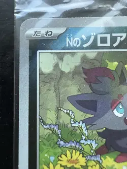 N's Zorua Sealed 200/SV-P Collection File Promo - Pokemon Card Japanese - Image 3