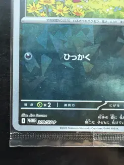 N's Zorua Sealed 200/SV-P Collection File Promo - Pokemon Card Japanese - Image 5