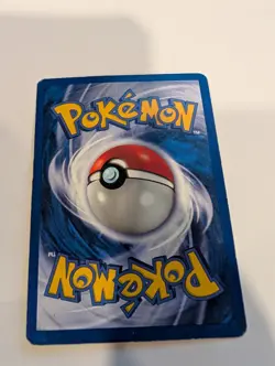 Furret - 35/111 - Neo Genesis - Pokemon Card - Image 2
