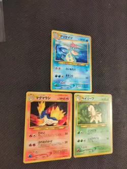Croconaw Quilava Bayleef Neo File Folder Promo Japanese Pokemon - Image 2